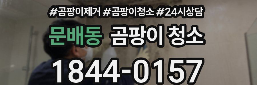 문배동 곰팡이 청소