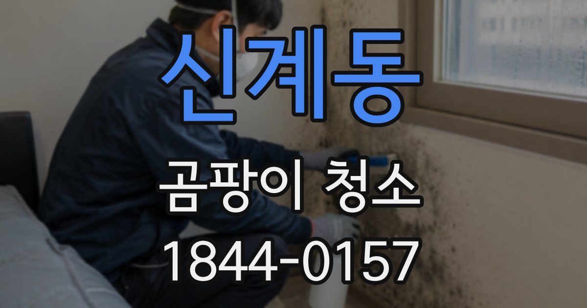 신계동 곰팡이 청소
