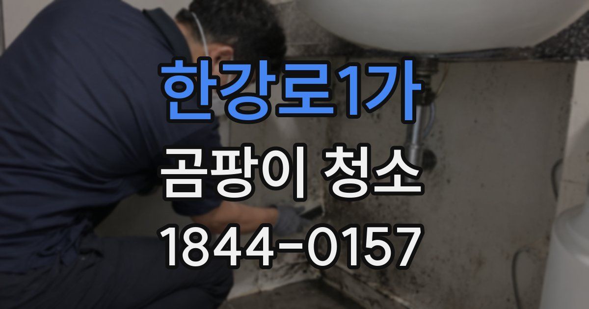한강로1가 곰팡이 청소