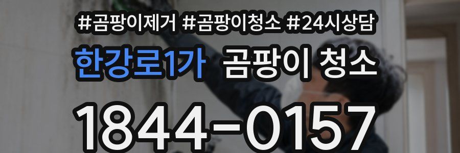 한강로1가 곰팡이 청소