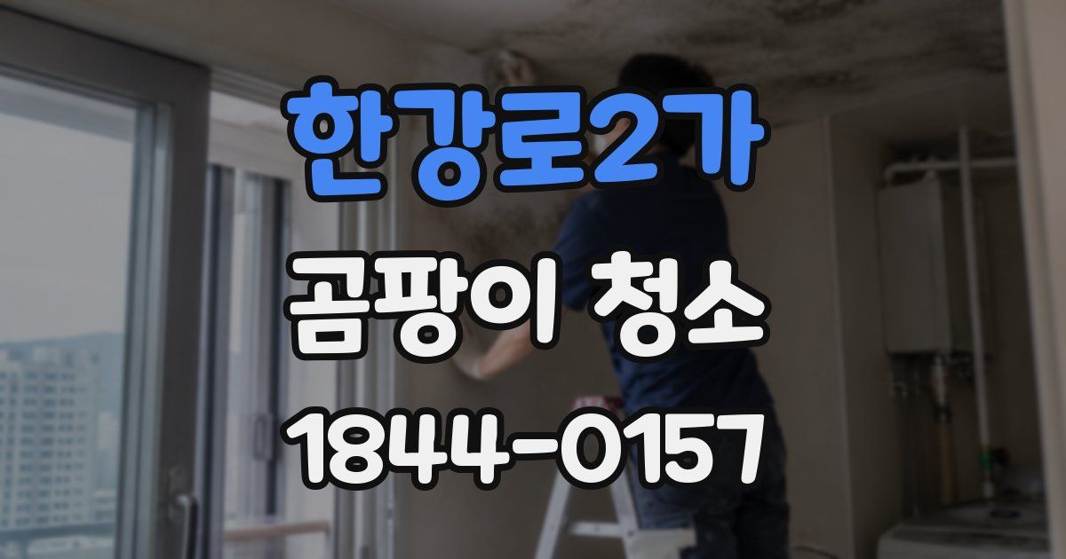 한강로2가 곰팡이 청소
