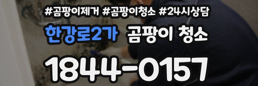 한강로2가 곰팡이 청소
