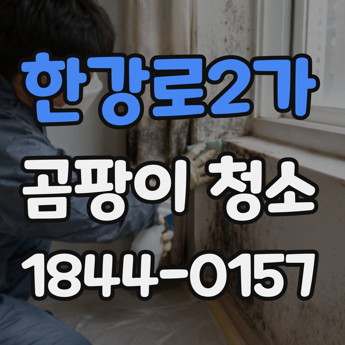 한강로2가 곰팡이 청소
