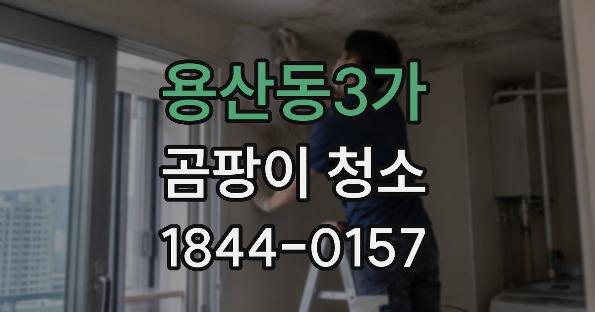 용산동3가 곰팡이 청소