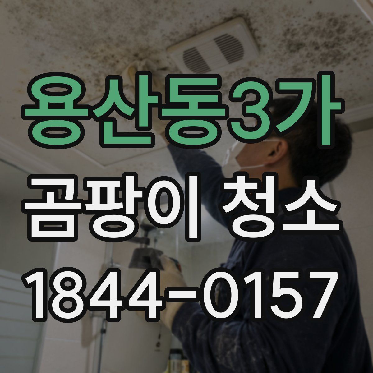용산동3가 곰팡이 청소
