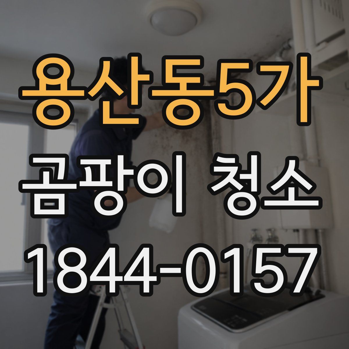 용산동5가 곰팡이 청소