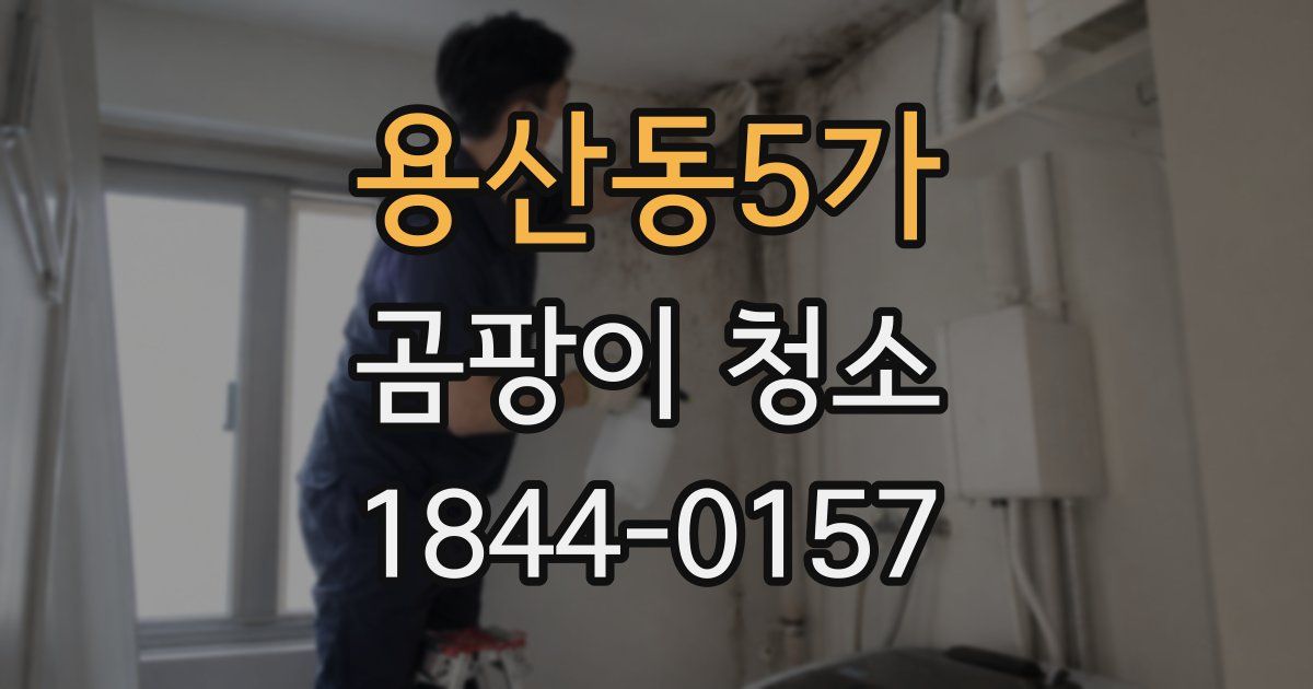 용산동5가 곰팡이 청소