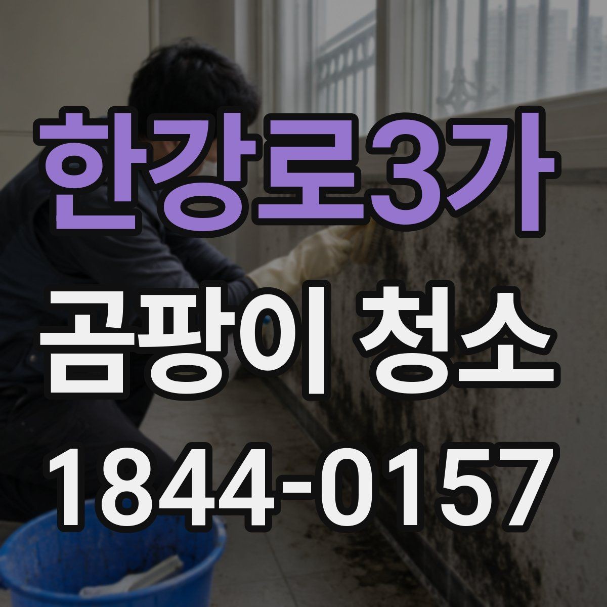 한강로3가 곰팡이 청소 주방 후드 주변 흔적까지 함께 살피는 이유