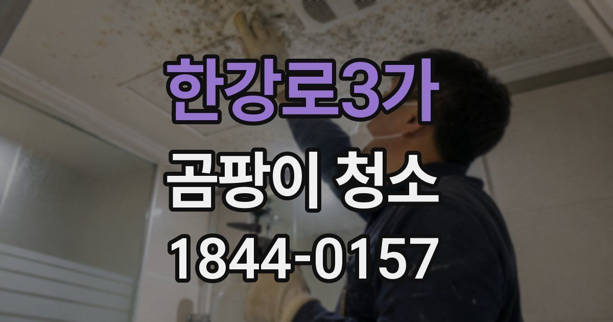 한강로3가 곰팡이 청소