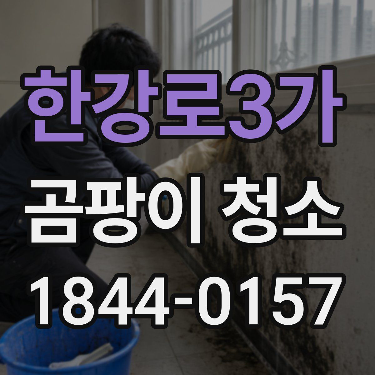 한강로3가 곰팡이 청소