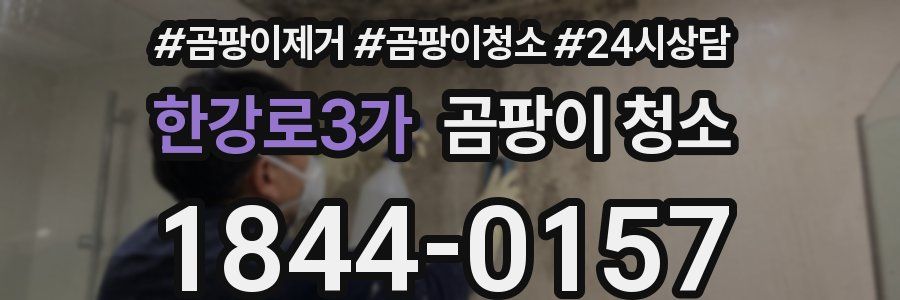 한강로3가 곰팡이 청소