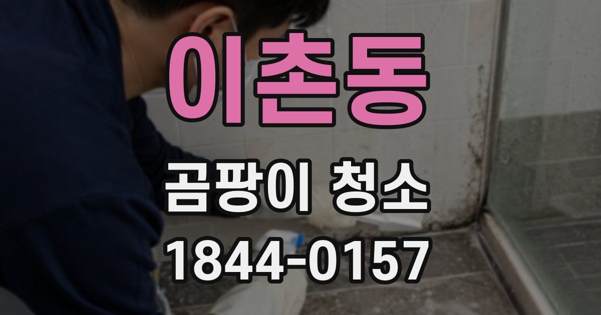 이촌동 곰팡이 청소
