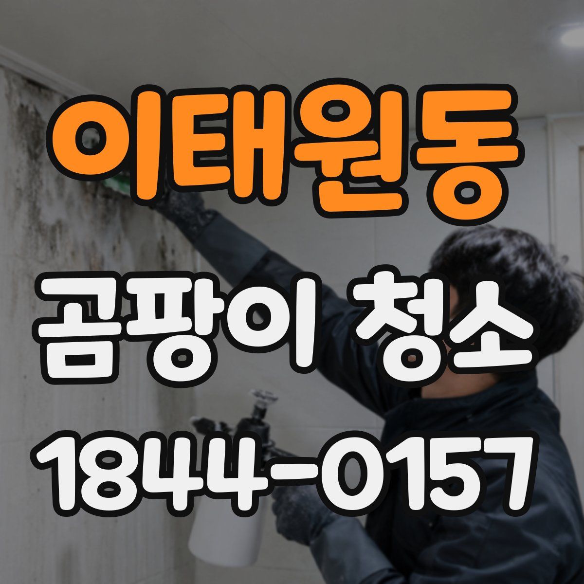 이태원동 곰팡이 청소
