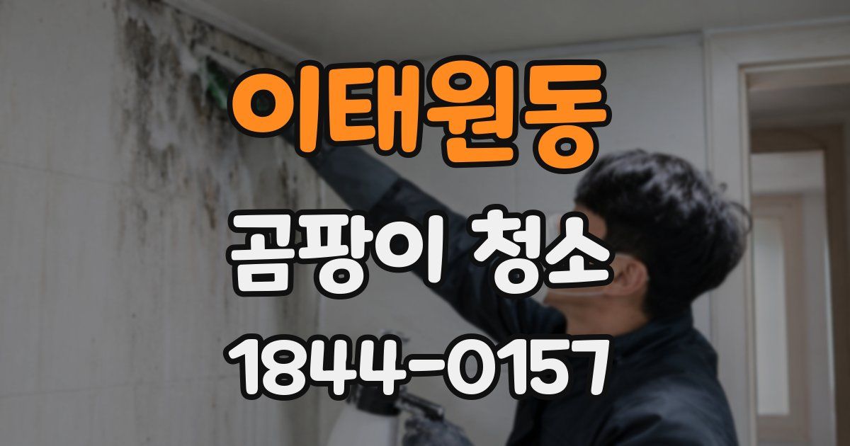 이태원동 곰팡이 청소