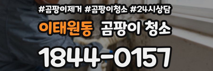 이태원동 곰팡이 청소