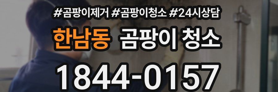한남동 곰팡이 청소