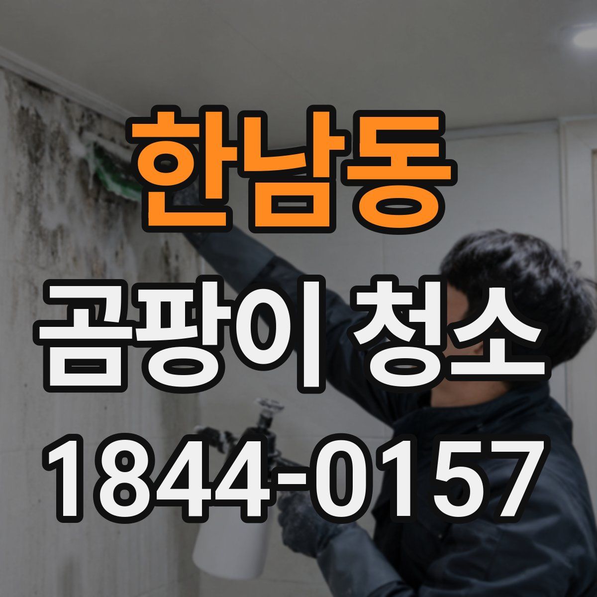 한남동 곰팡이 청소