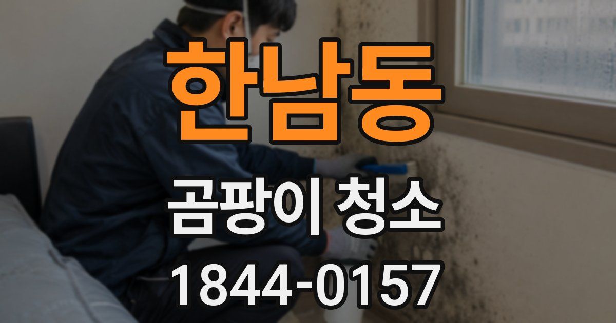 한남동 곰팡이 청소