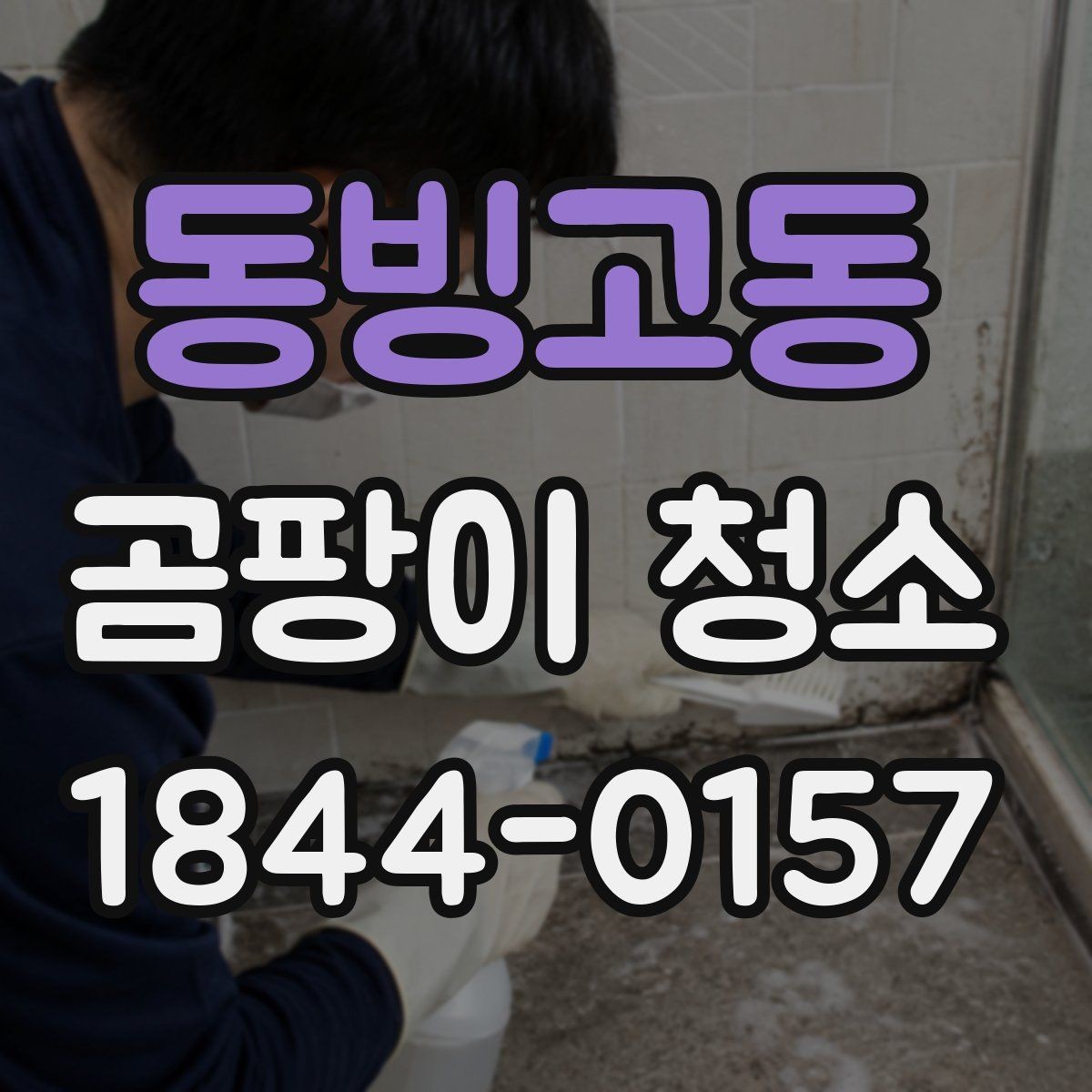 동빙고동 곰팡이 청소 실내 습도 점검으로 다시 생기는 문제 막기