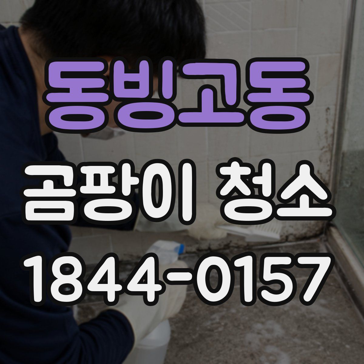 동빙고동 곰팡이 청소