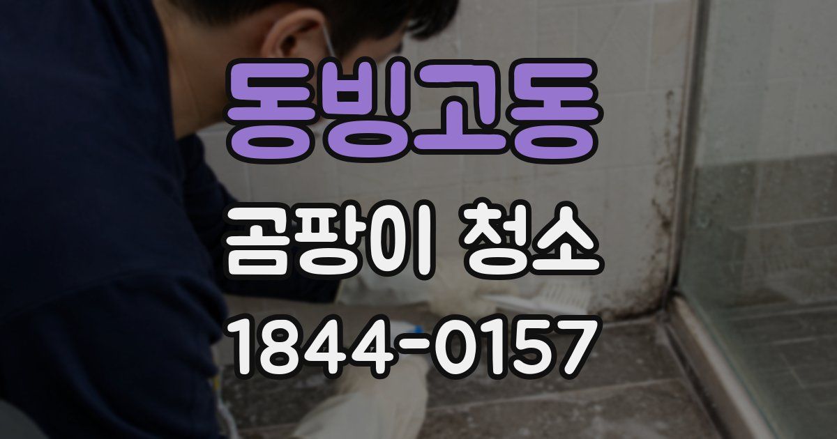 동빙고동 곰팡이 청소