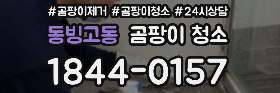 동빙고동 곰팡이 청소