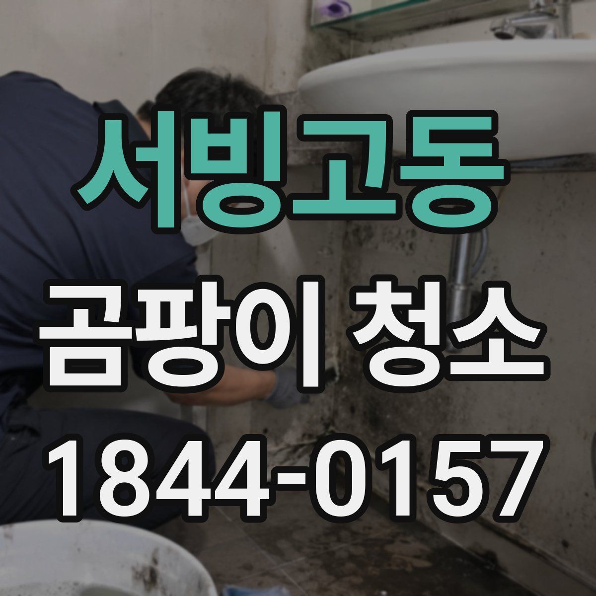 서빙고동 곰팡이 청소