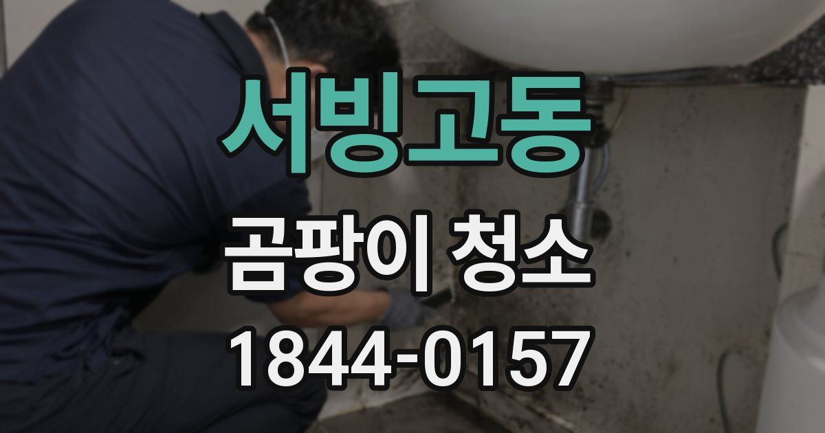 서빙고동 곰팡이 청소