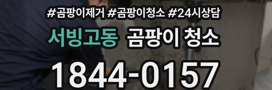 서빙고동 곰팡이 청소