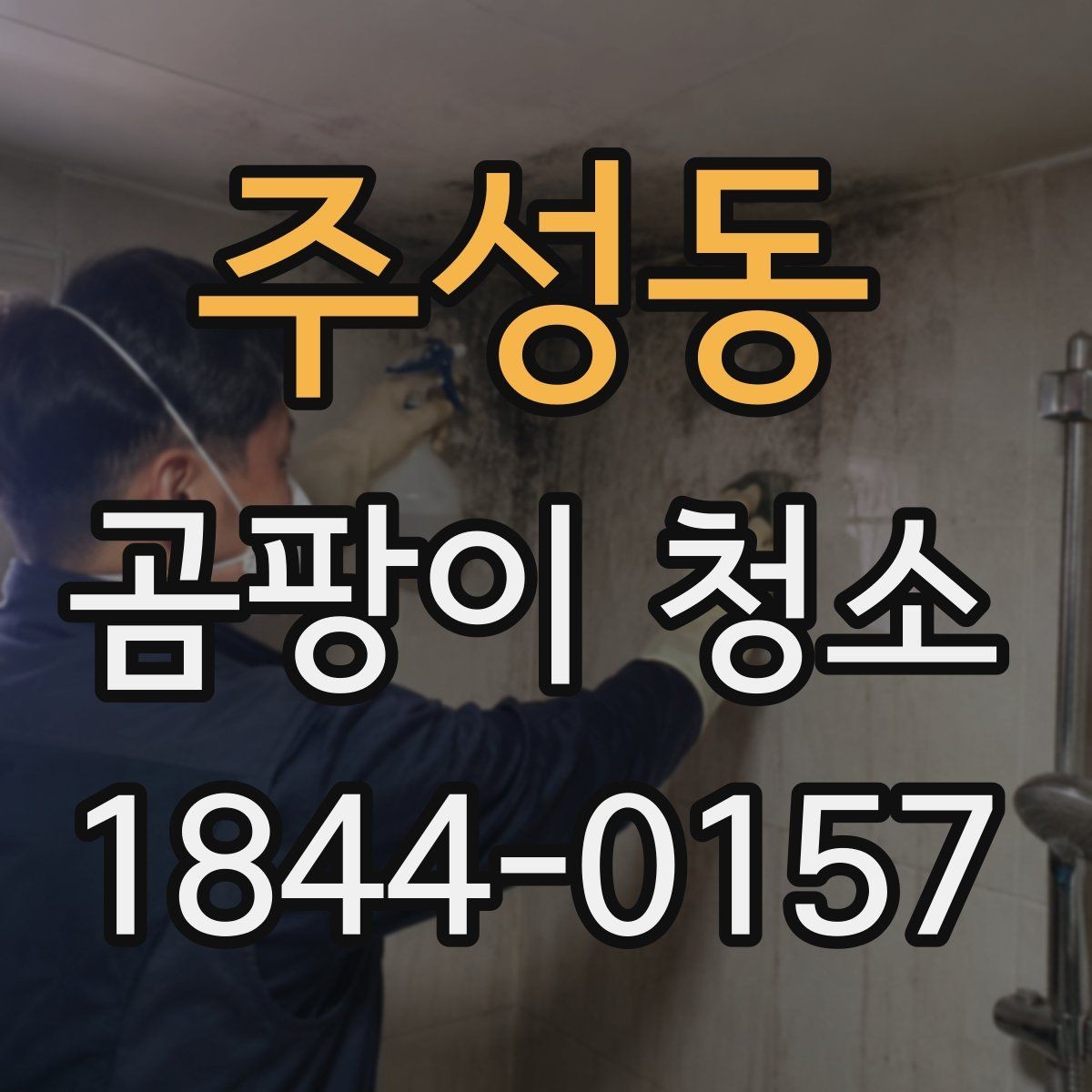 주성동 곰팡이 청소 주방 벽면의 습기 흔적을 함께 살피는 방법