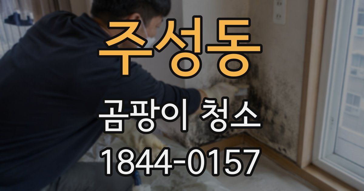 주성동 곰팡이 청소
