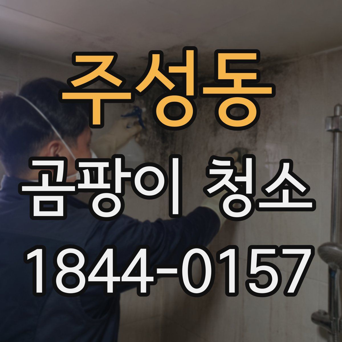 주성동 곰팡이 청소