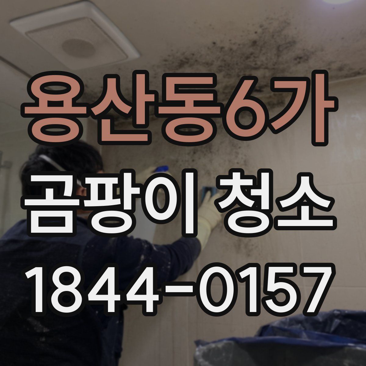 용산동6가 곰팡이 청소