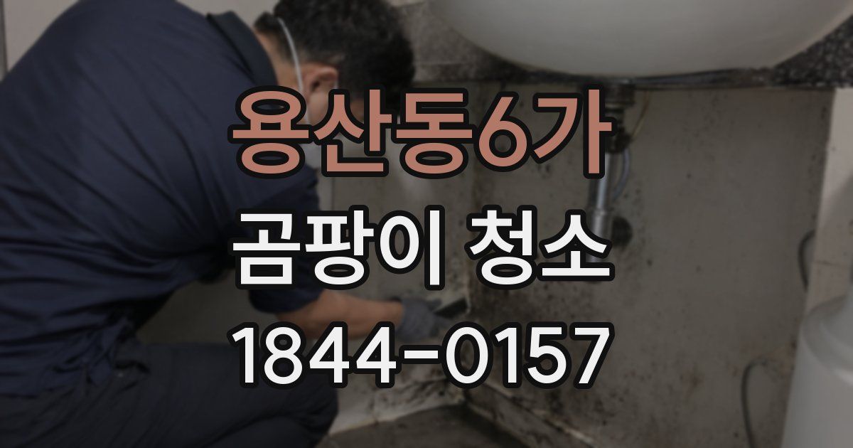 용산동6가 곰팡이 청소