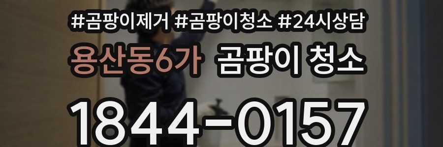 용산동6가 곰팡이 청소