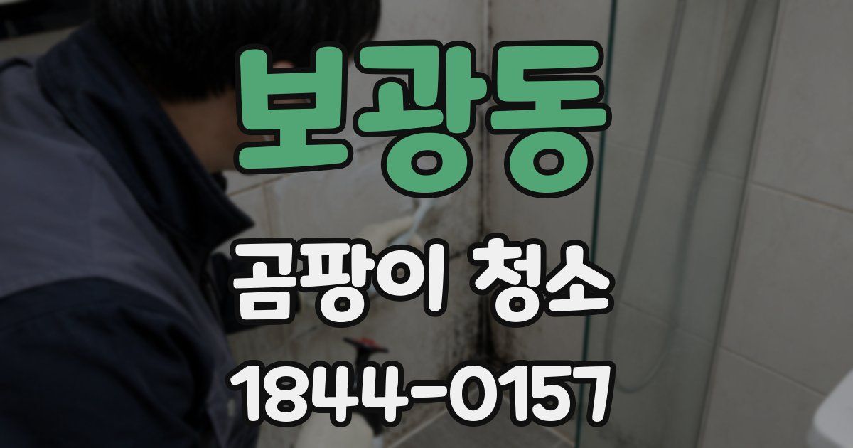 보광동 곰팡이 청소