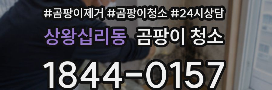 상왕십리동 곰팡이 청소