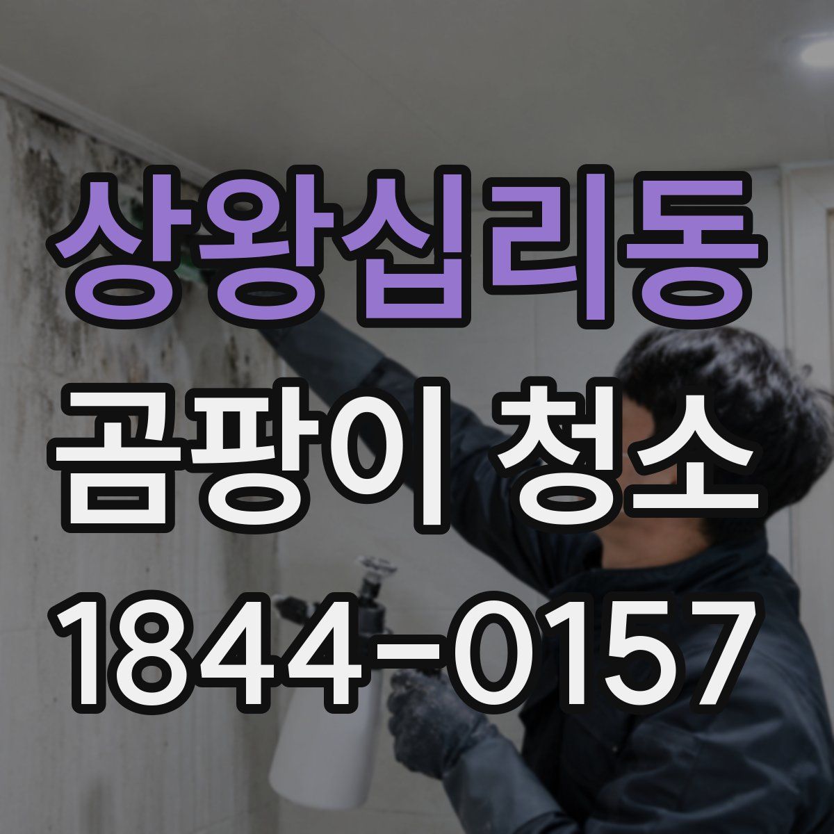 상왕십리동 곰팡이 청소