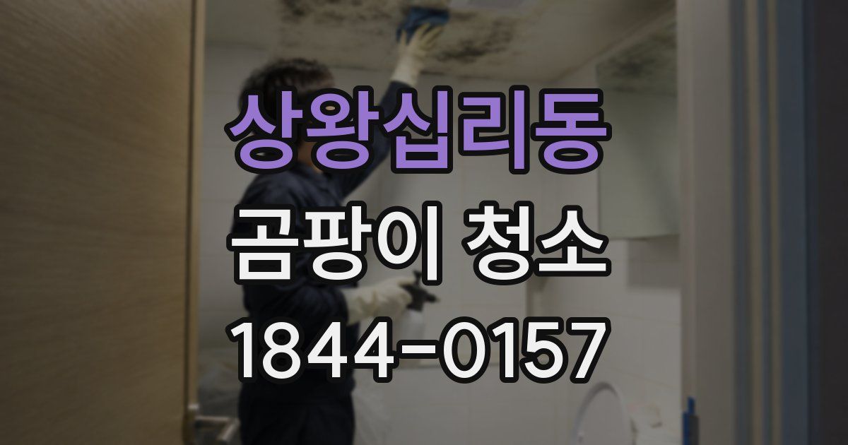 상왕십리동 곰팡이 청소