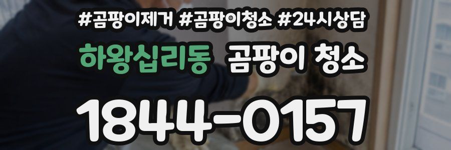 하왕십리동 곰팡이 청소