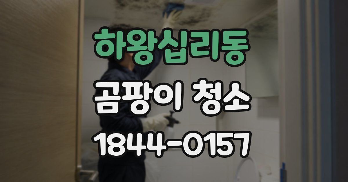 하왕십리동 곰팡이 청소