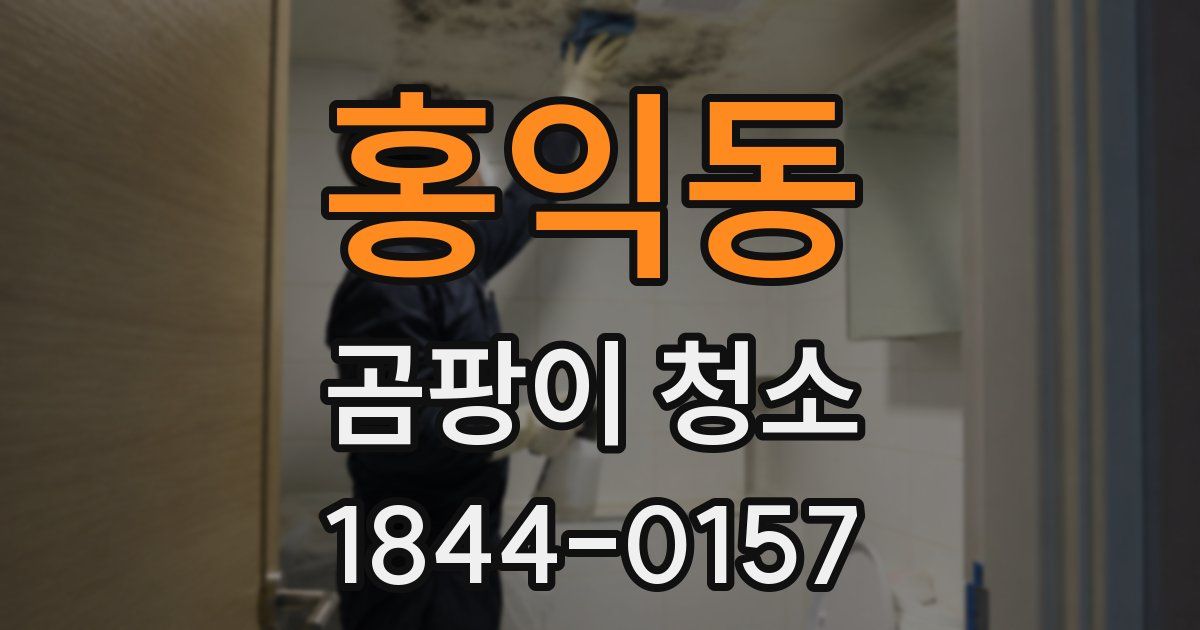 홍익동 곰팡이 청소