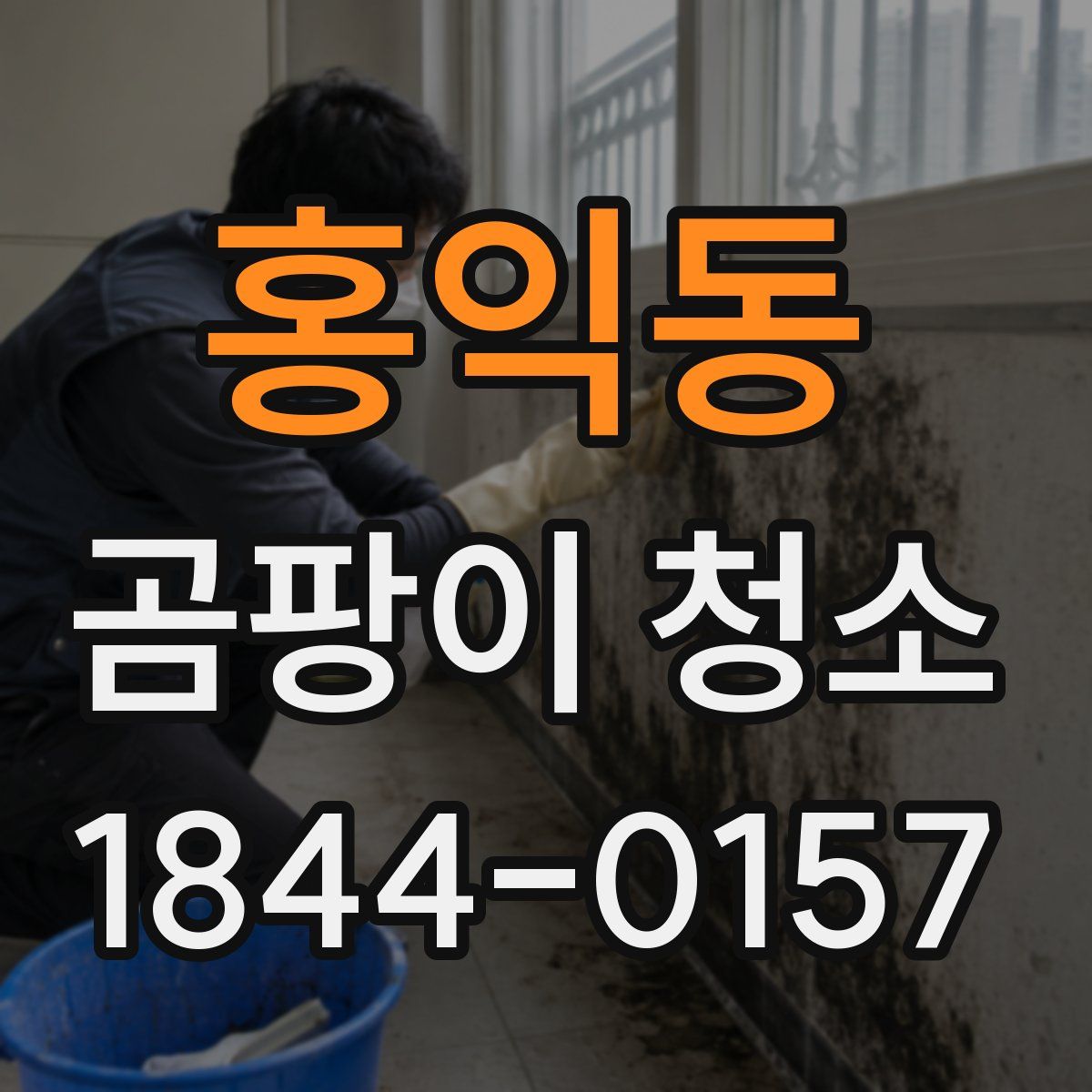 홍익동 곰팡이 청소