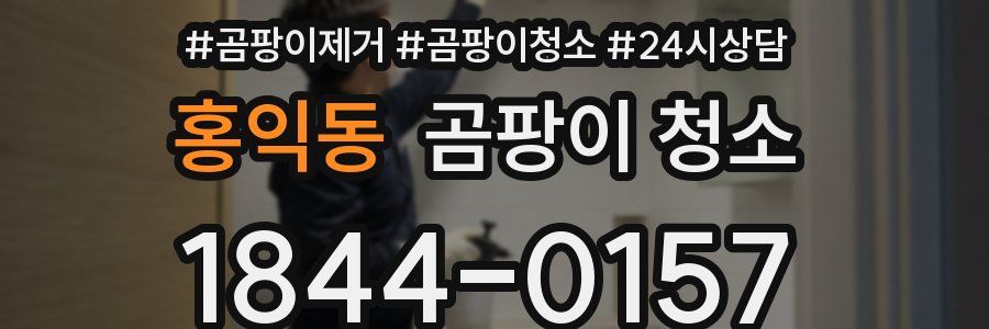 홍익동 곰팡이 청소