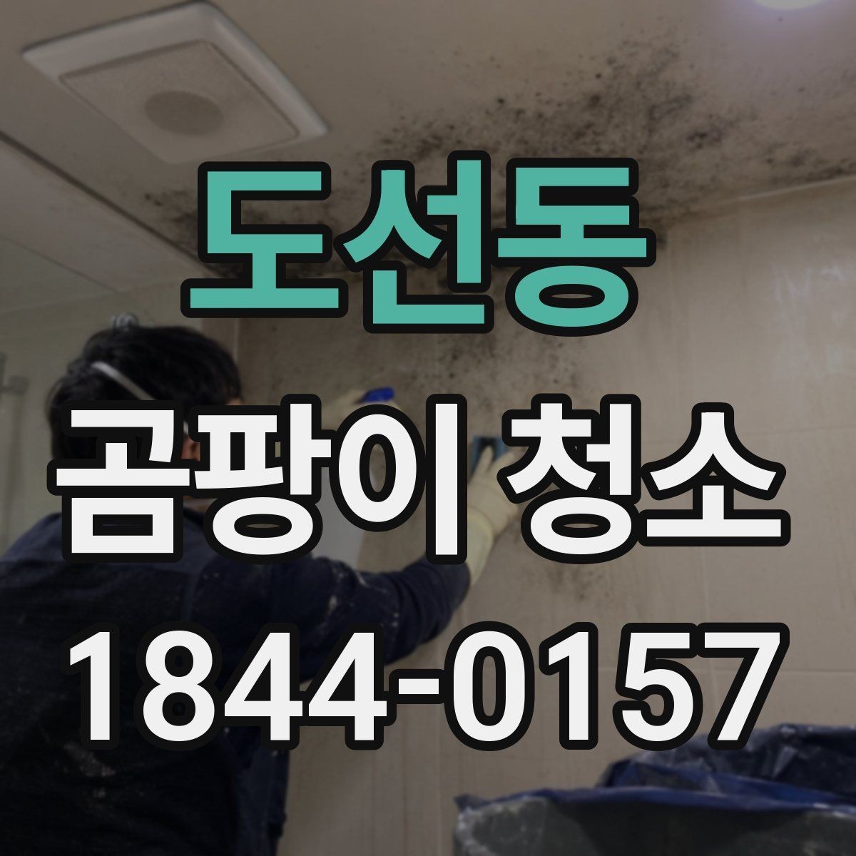 도선동 곰팡이 청소 욕실 줄눈과 실리콘을 나눠 관리하는 이유