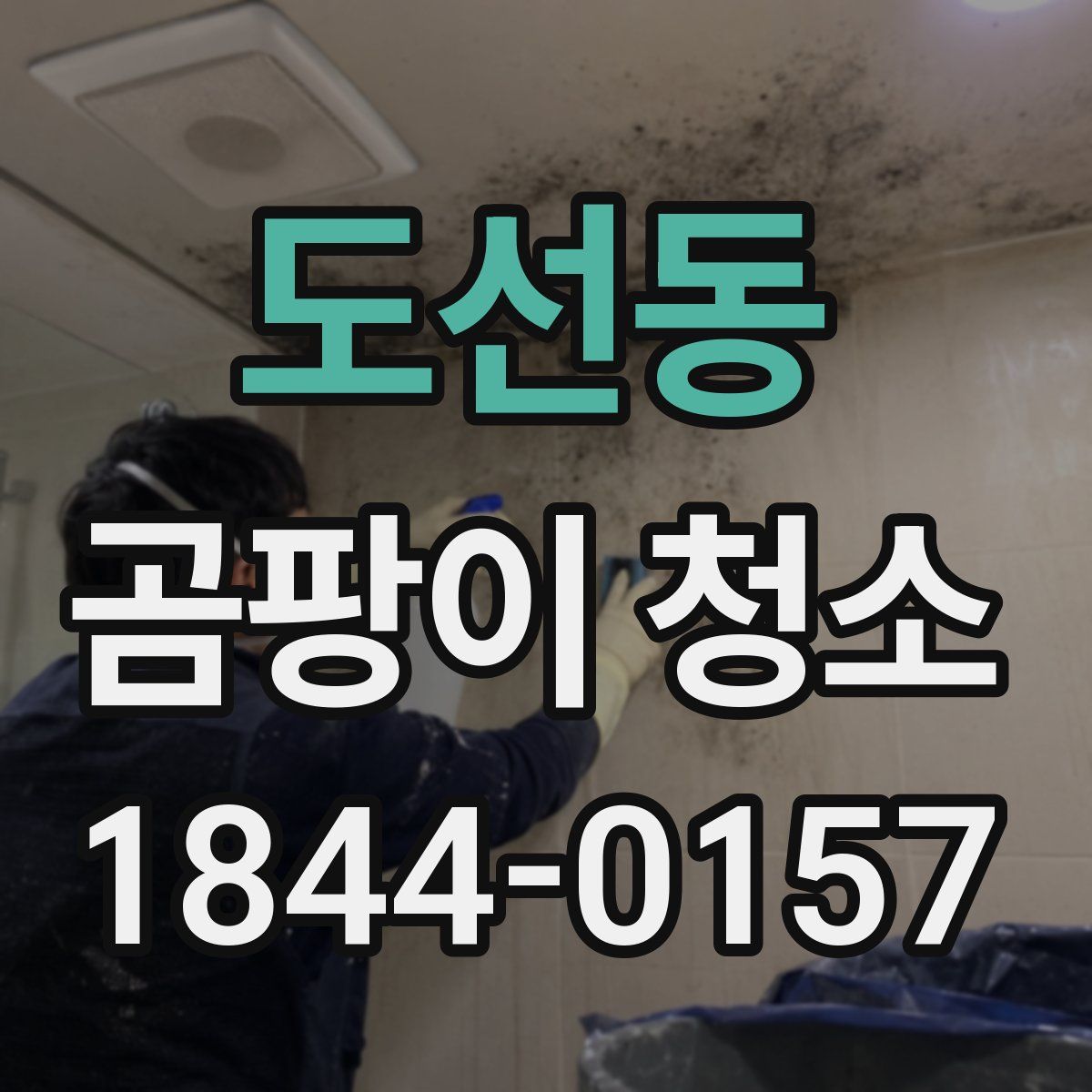 도선동 곰팡이 청소