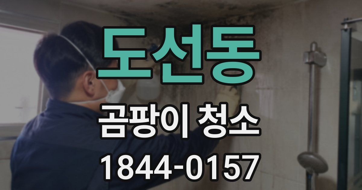 도선동 곰팡이 청소