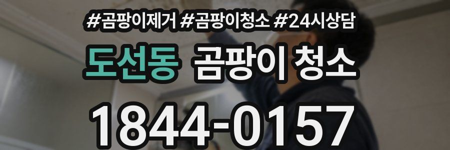 도선동 곰팡이 청소