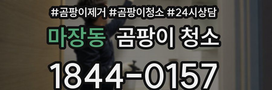 마장동 곰팡이 청소