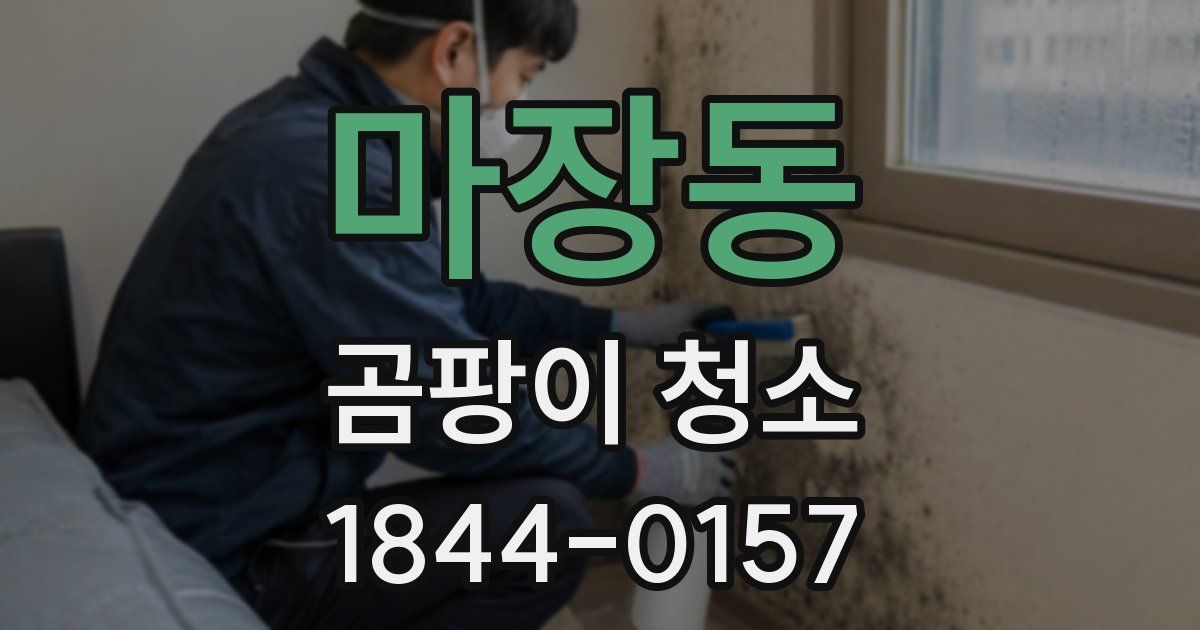 마장동 곰팡이 청소